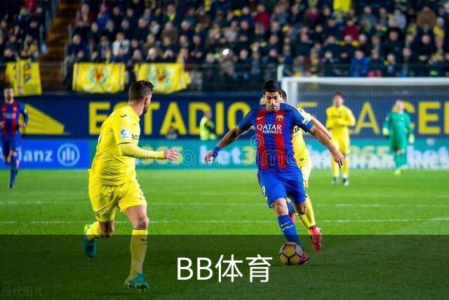 关于BB体育